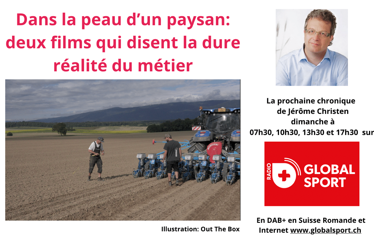 Chronique du jour